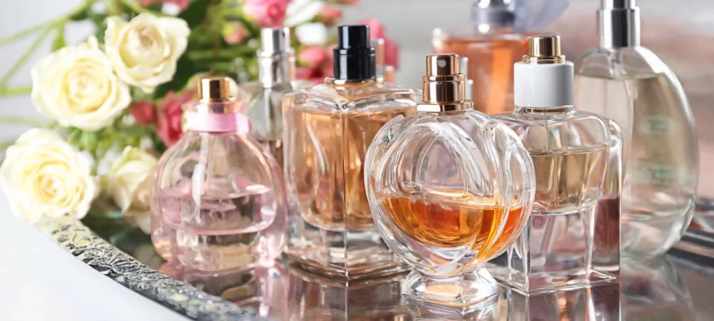 TagoMago ja Perfumeria uudistivat sivustonsa ja saavuttivat 82 % ja 108 % keskiarvoa korkeamman haun käytön
